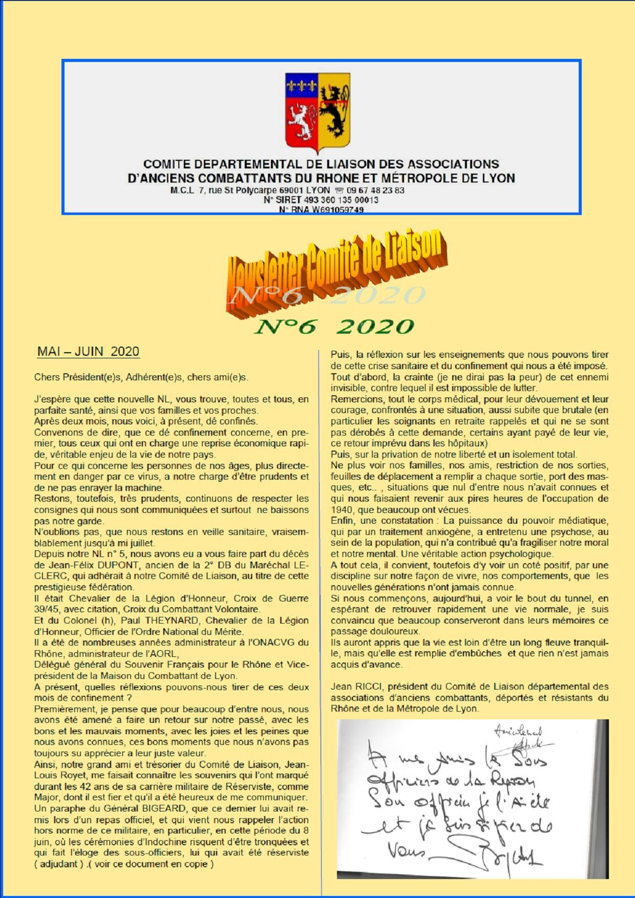 Newsletter n 6